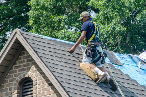 Best Gutter Installation and Roofing  in Hickory, NC
